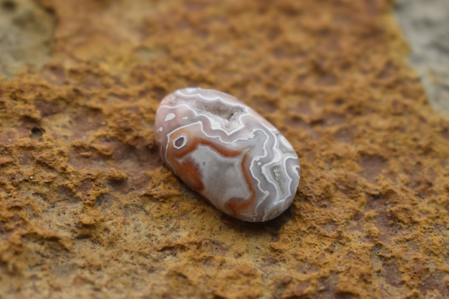 Laguna Lace Agate – Oval With natural druzy  21.3x12.9x5.9