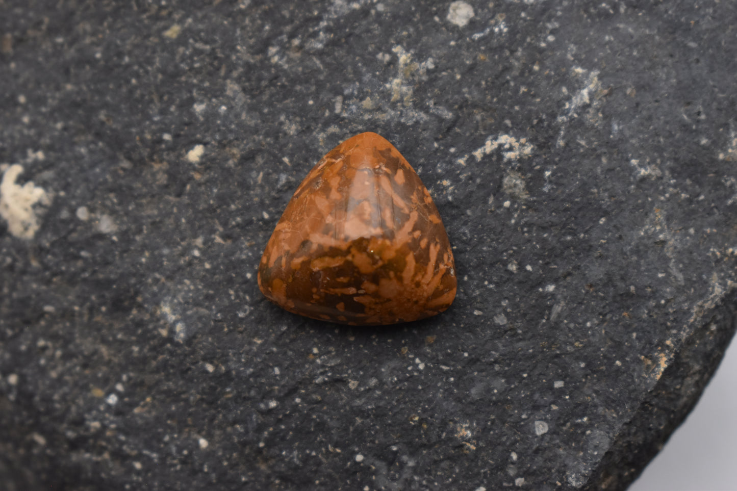 Jaspe Estrellado (Starburst Jasper)– Triangular 18x8