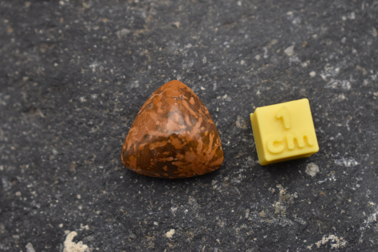 Jaspe Estrellado (Starburst Jasper)– Triangular 18x8