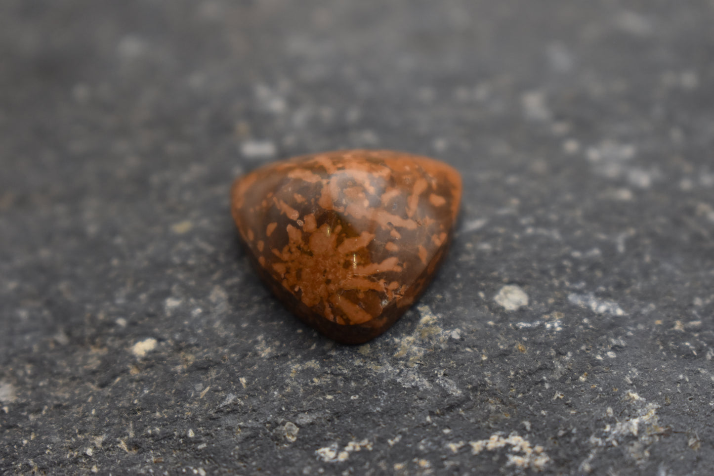 Jaspe Estrellado (Starburst Jasper)– Triangular 18x8