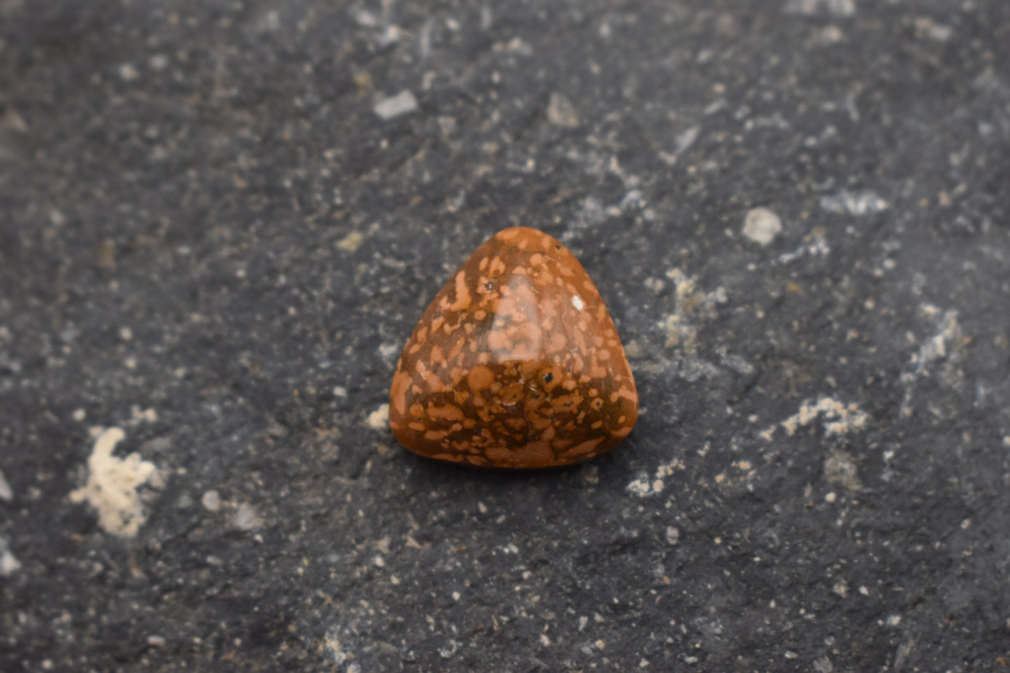 Jaspe Estrellado (Starburst Jasper)– Triangular 16x7
