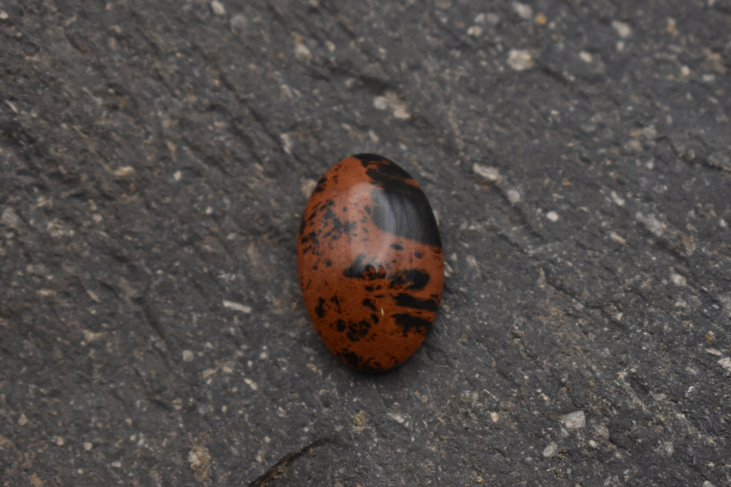 Obsidiana Caoba – ovalo 19x12x5